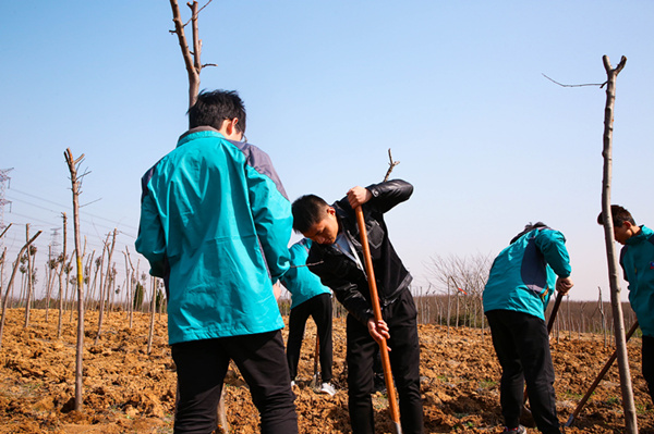 “攜手植樹，共創(chuàng)藍天”丨南京新華師生共筑新華育才林