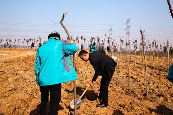 “攜手植樹，共創(chuàng)藍天”丨南京新華師生共筑新華育才林