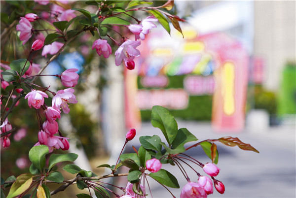 春暖花開，等你歸來——邀你云賞南新春景，以慰思念